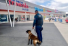 Arranca operativo Guadalupe &ndash; Reyes&nbsp;