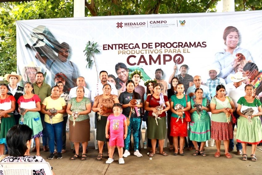 Saderh fortalece producción cafetalera y apoya a mujeres rurales