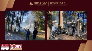 Polic&iacute;a Tur&iacute;stica y H. Cuerpo de Bomberos atienden incendio en Mineral del Chico y evitan su propagaci&oacute;n