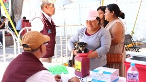 SSH supera 2.5 millones de vacunas antirr&aacute;bicas aplicadas