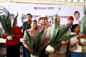 Destinan&nbsp; 5.3 mdp en agro para m&aacute;s de 600 familias
