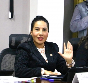 Crece respaldo a iniciativa para que solo mujeres compitan por la gubernatura en 2028: Hilda Miranda