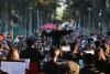 El universo musical brill&oacute; en el Parque Hidalgo