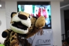Congreso aprueba por unanimidad el 7 de septiembre como &ldquo;D&iacute;a del Jaguar en el estado de Hidalgo&rdquo;