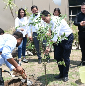 Congreso del Estado de Hidalgo inicia campa&ntilde;a "Sembremos un &aacute;rbol"