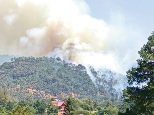 Incendio activo en el Parque Nacional El Chico, corredor de la monta&ntilde;a "La Compa&ntilde;a"