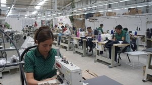 Ley Federal del Trabajo&nbsp;ampara a mujeres hidalguenses&nbsp;