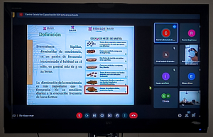 Capacita SSH a prestadores de servicios m&eacute;dicos privados