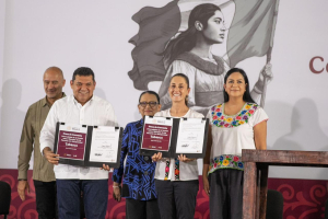 Pensi&oacute;n para Personas con Discapacidad ser&aacute; universal en Tabasco: Secretar&iacute;a de Bienestar