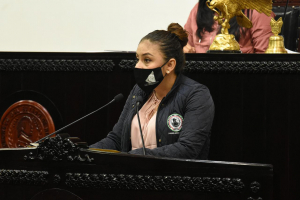 PROPONE JAJAIRA ACEVES INICIATIVA PARA REGULAR CONTRATOS PROMESA.