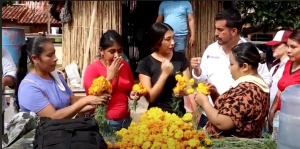 Ser&aacute; una gran celebraci&oacute;n: DAZ