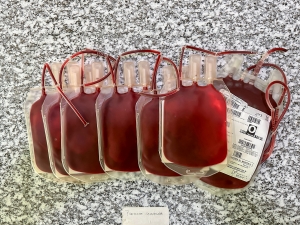 Con personal altamente capacitado,&nbsp;CETS alcanz&oacute; m&aacute;s de 12 mil donaciones de sangre