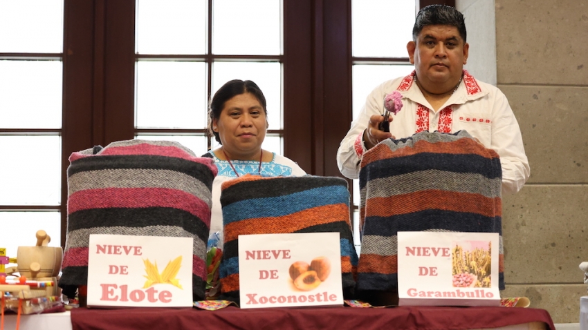 La riqueza de Hidalgo alegrará la CDMX