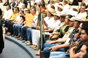 Con dictamen, legisladores reconocen derechos de pueblos ind&iacute;genas y afromexicanos