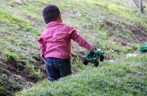 Llama la SSH a prevenir mordeduras de reptiles en temporada de calor